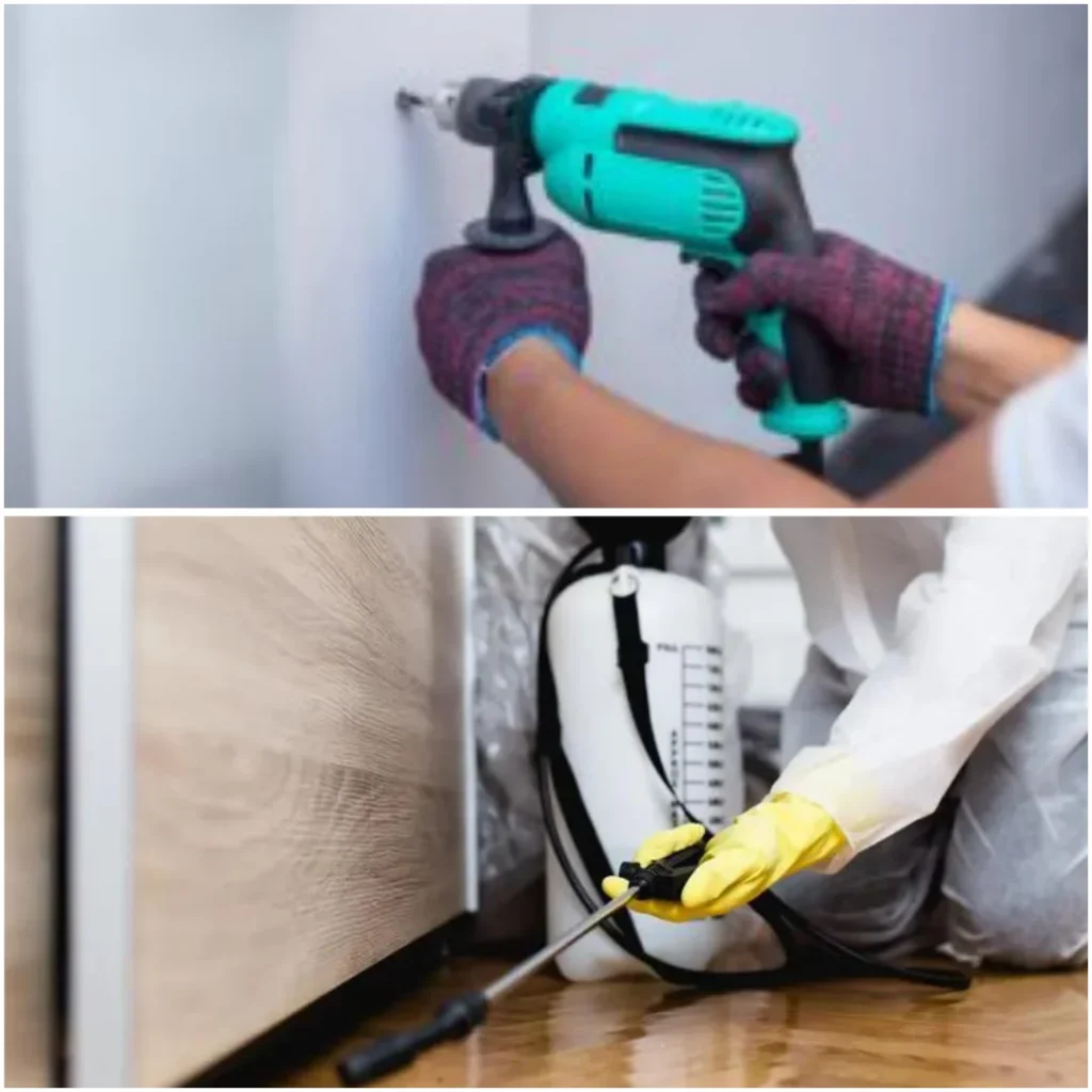 Drill Fill Seal Termite Treatment & Preventive Anti termite Treatment