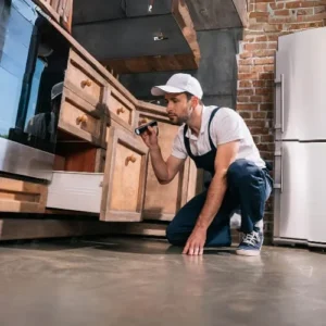 Termite Treatment Inspection