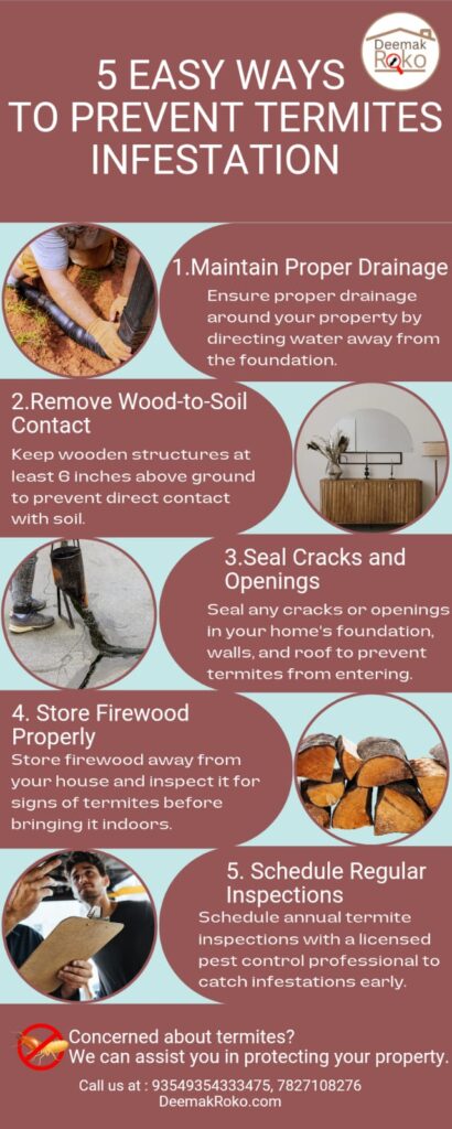 5 Easy Ways to prevent Termites Infestation