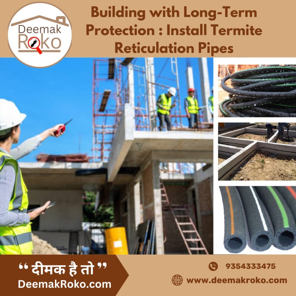 Termite-Proof Your New Home