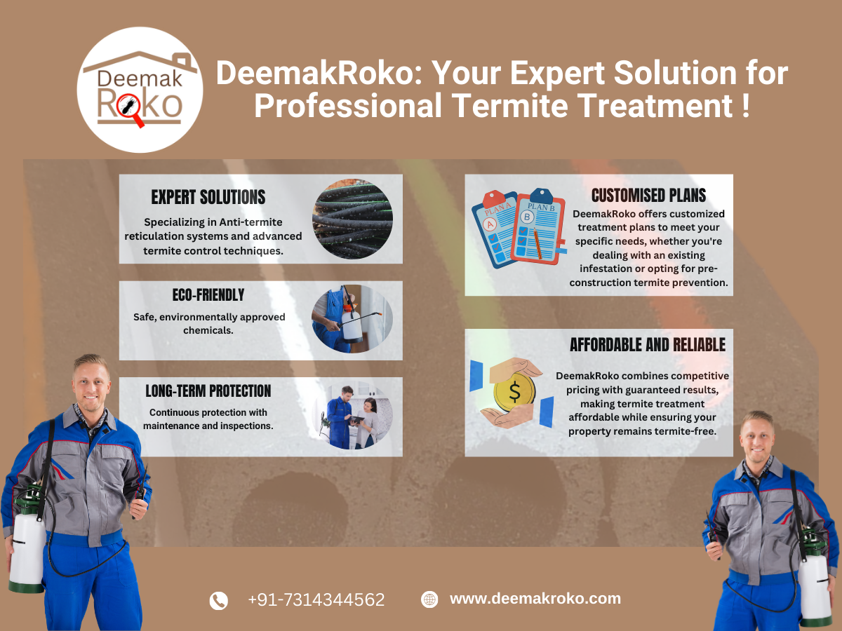 Professional Termite Treatment- Deemakroko