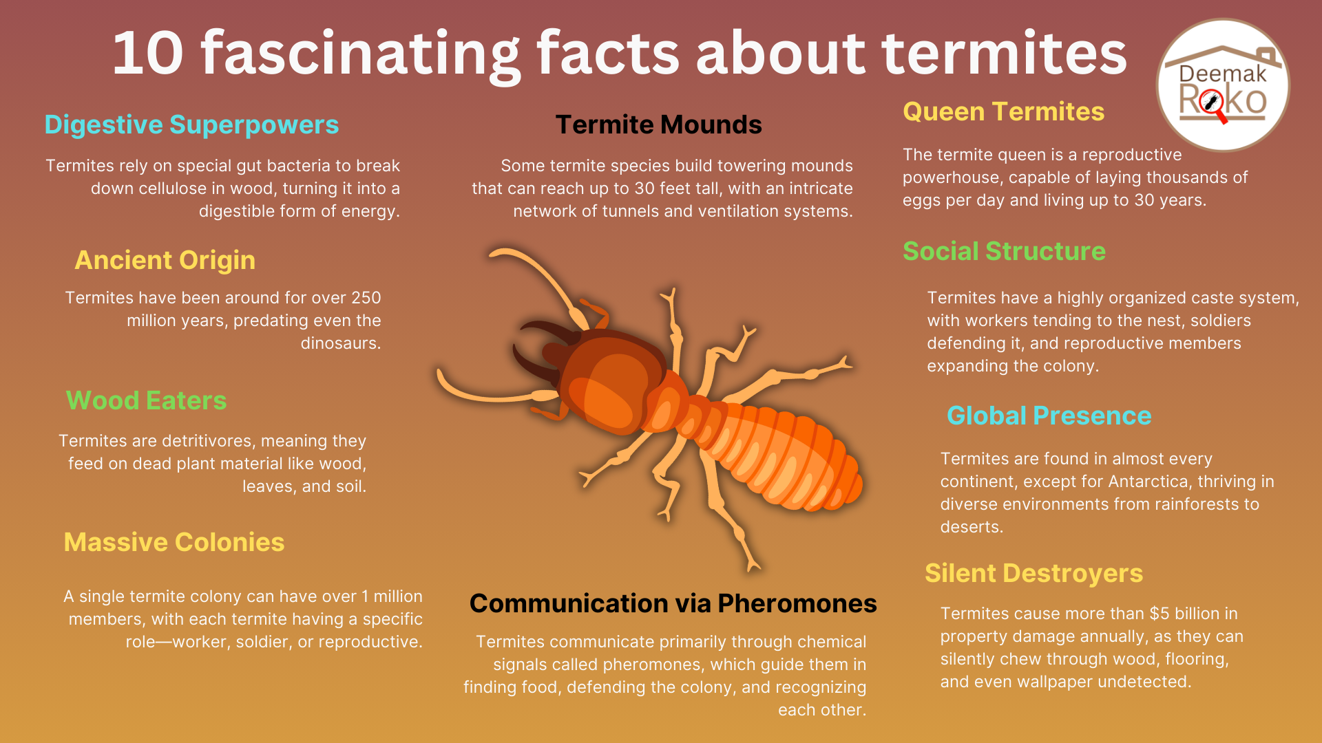 Amazing Facts About Termites