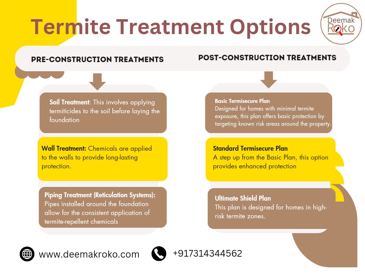 termite treatment options