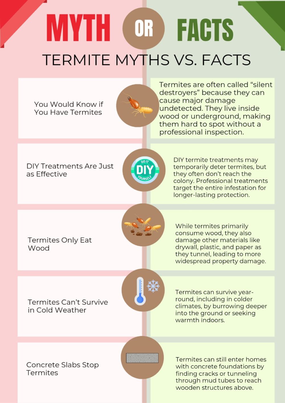 termite myths vs. facts