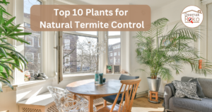 10 Best Plants for Natural Termite Control to Safeguard Your Home | DeemakRoko
