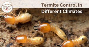 Termite Control in Different Climates - DeemakRoko
