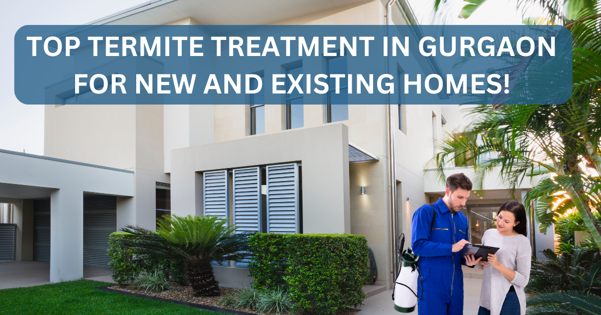 Top Termite Treatment in Gurgaon for New and Existing Homes!