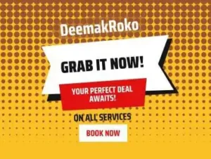 Termite treatment- termite control- DeemakRoko offer1