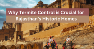 Why Termite Control is Crucial for Rajasthan’s Historic Homes