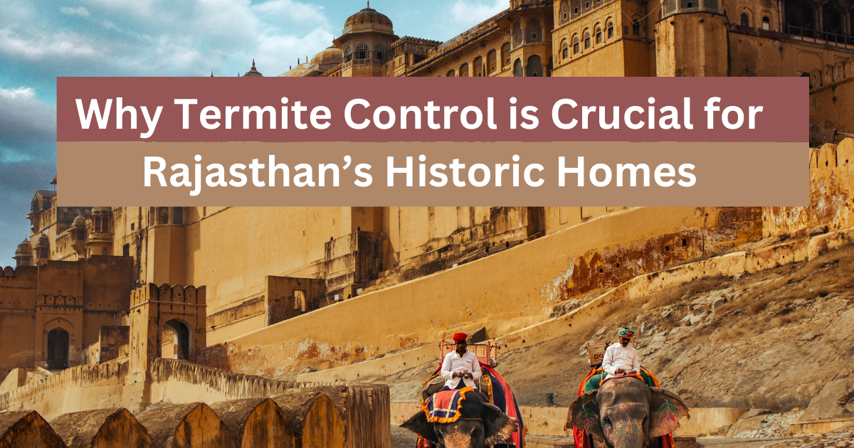 Why Termite Control is Crucial for Rajasthan’s Historic Homes