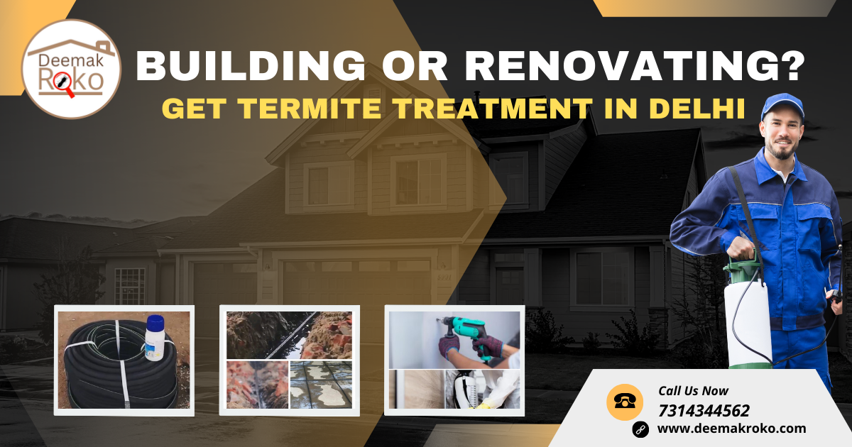 termite treatment in Delhi