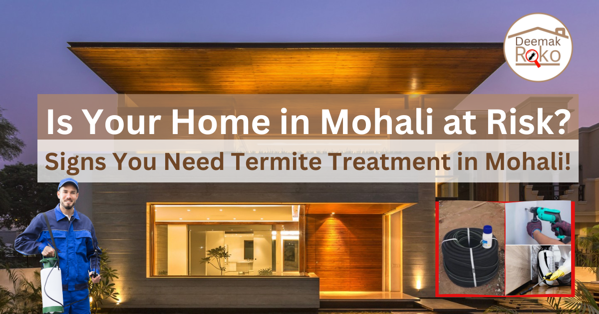 Termite Treatment in Mohali