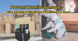 Termite Treatment in faridabad