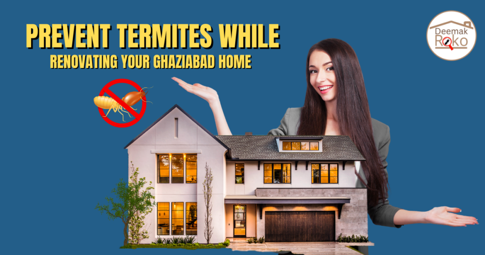Prevent Termites While Renovating Your Ghaziabad Home