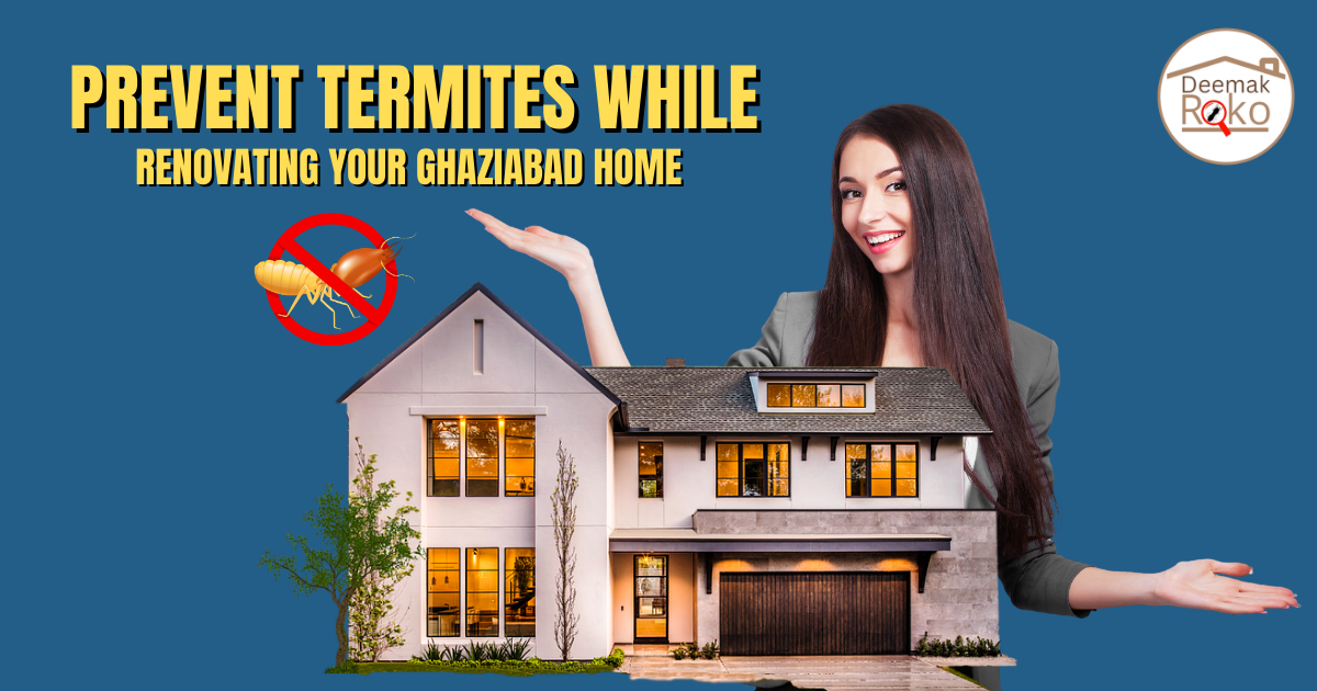 Prevent Termites While Renovating Your Ghaziabad Home