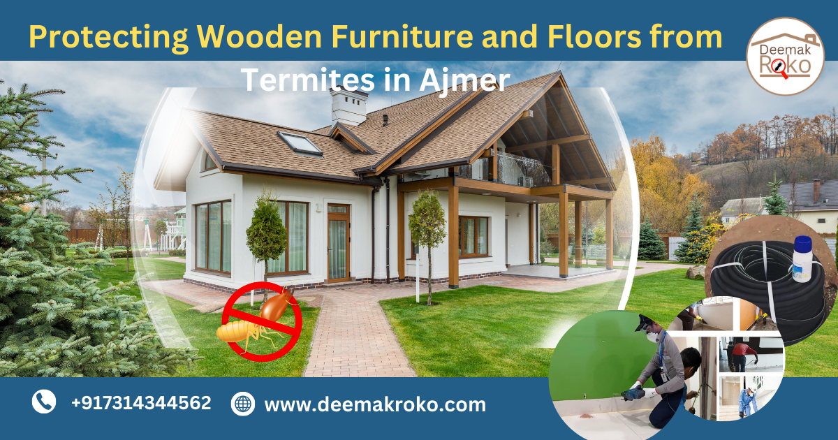 Protecting Wooden Furniture and Floors from Termites in Ajmer