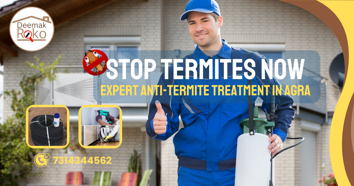 Termite treatment in Agra