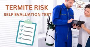 Termite Risk Self Evaluation Test