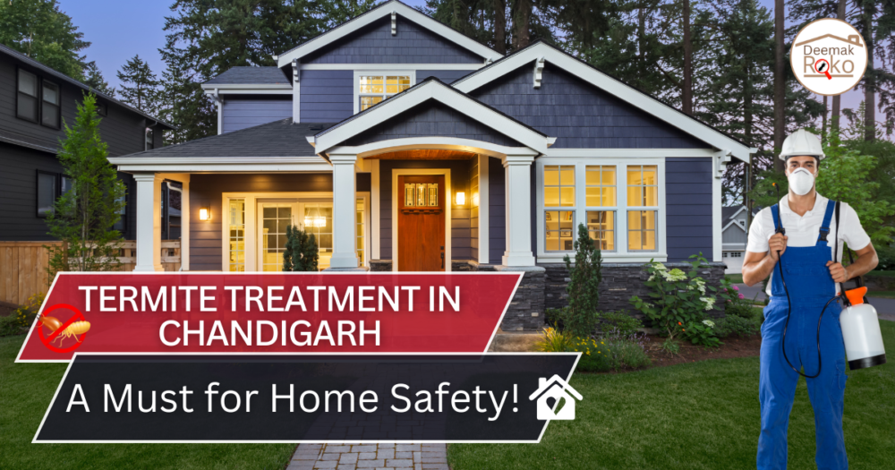 Termite Treatment in Chandigarh
