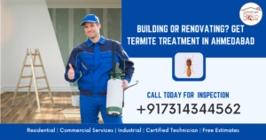 Building or Renovating? Get Termite Treatment in Ahmedabad
