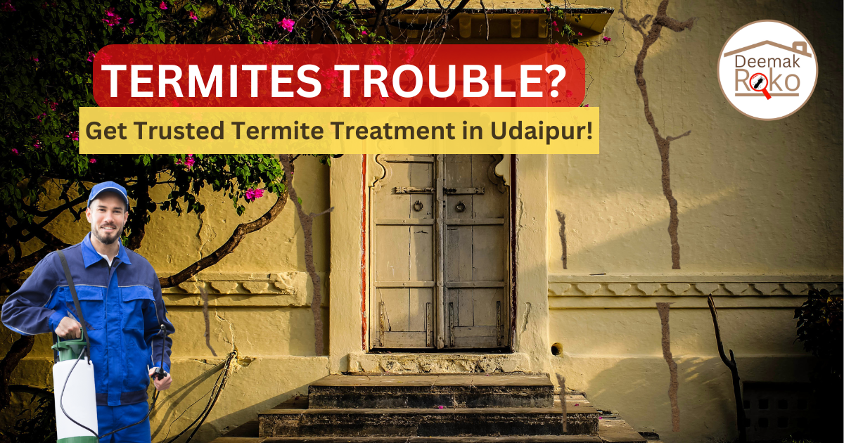 Termite-Treatment-in-Udaipur