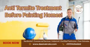 Anti Termite Treatment
