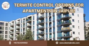 termite control in Jaipur