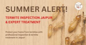 Termite Inspection Jaipur: Summer Alert & Expert Treatment
