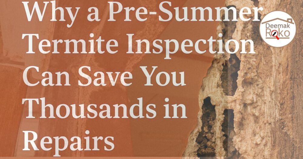 pre-summer termite inspection