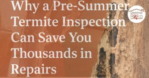 pre-summer termite inspection