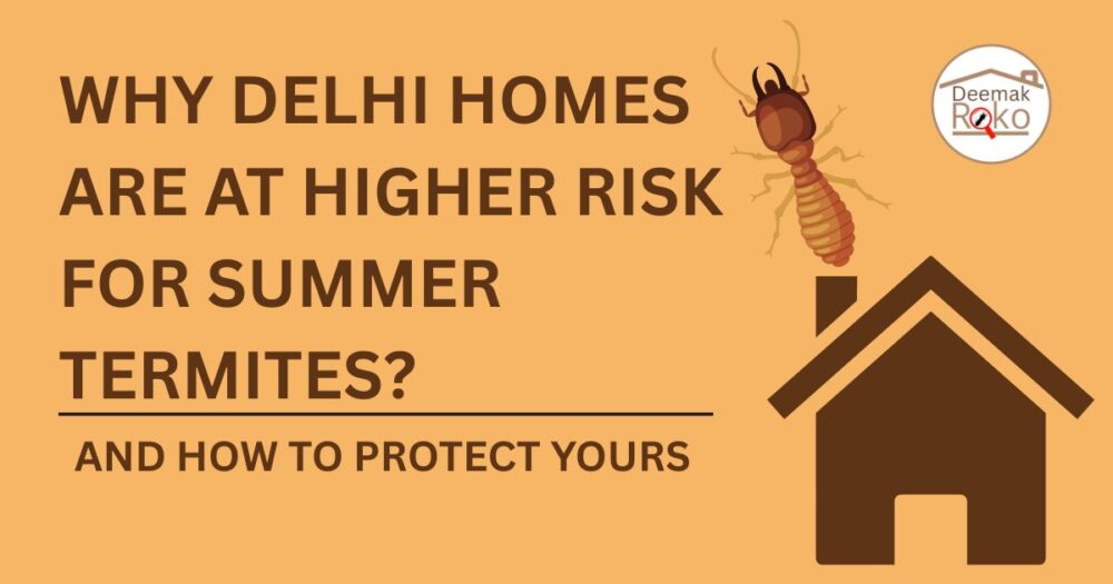 summer termites