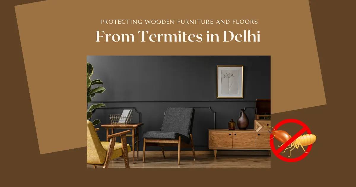 Protecting Wooden Furniture and Floors from Termites in Delhi
