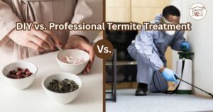 DIY vs. Professional Termite Treatment