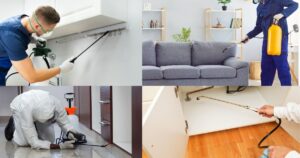 Why Termite Control Is Essential for Every Indian Household