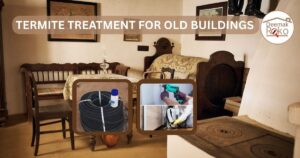 Termite Treatment for Old Buildings