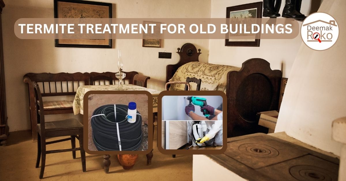 Termite Treatment for Old Buildings