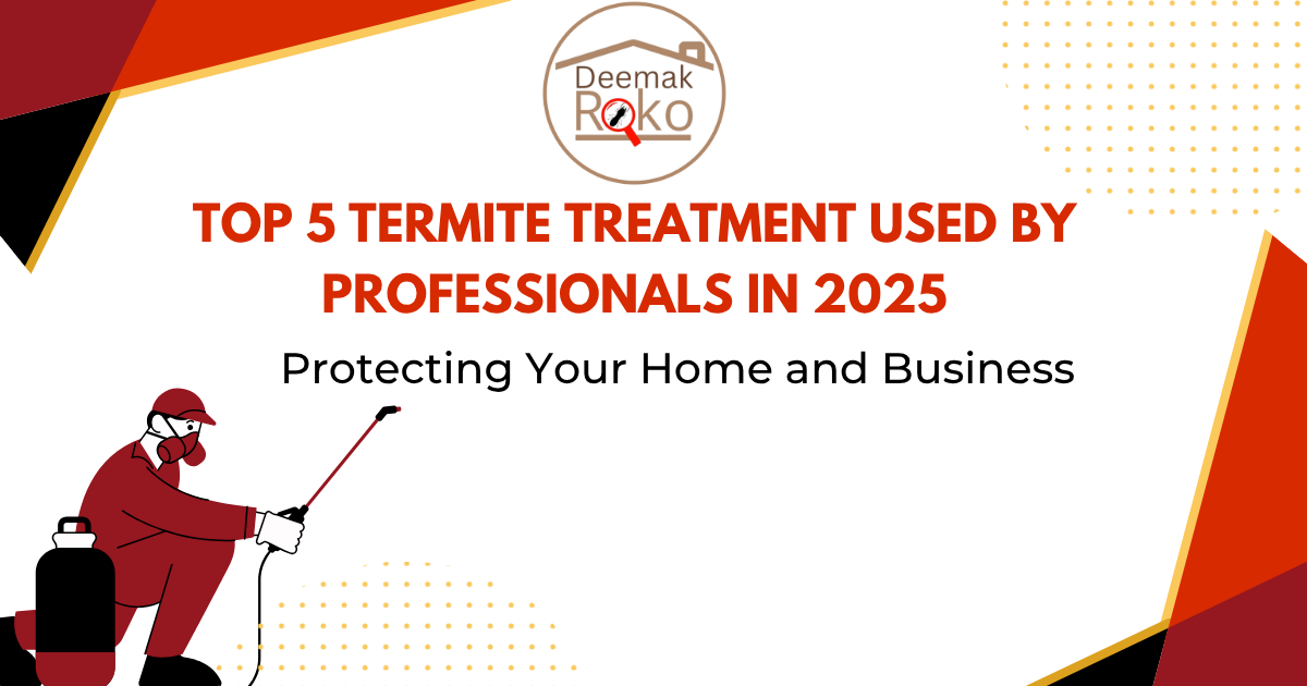 Top 5 Termite Treatment Used by Professionals in 2025