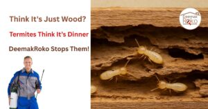 Termite Control by DeemakRoko | Stop Termites Effectively