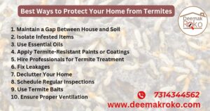Protect Your home from termites