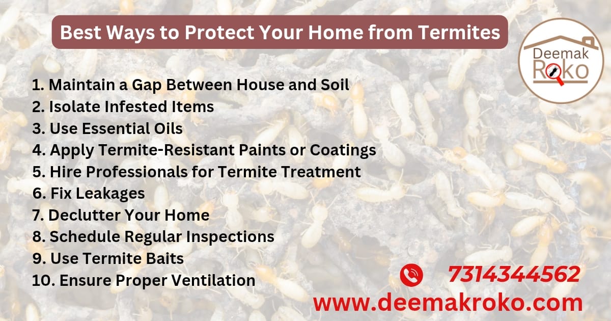 Protect Your home from termites