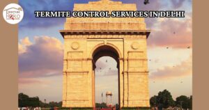Termite Control Services in Delhi – 100% Safe Treatment