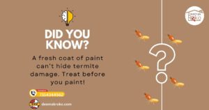 A freash coat of paint can no hide termite damage