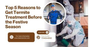 Top 5 Reasons to Get Termite Treatment Before the Festive Season