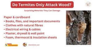 Materials Termites Attack