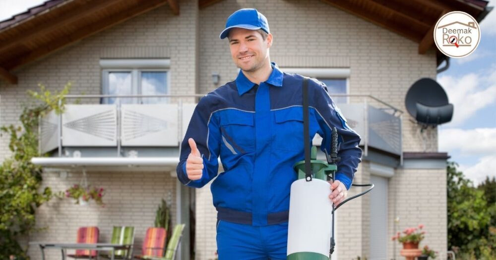 Termite Treatment Near Me