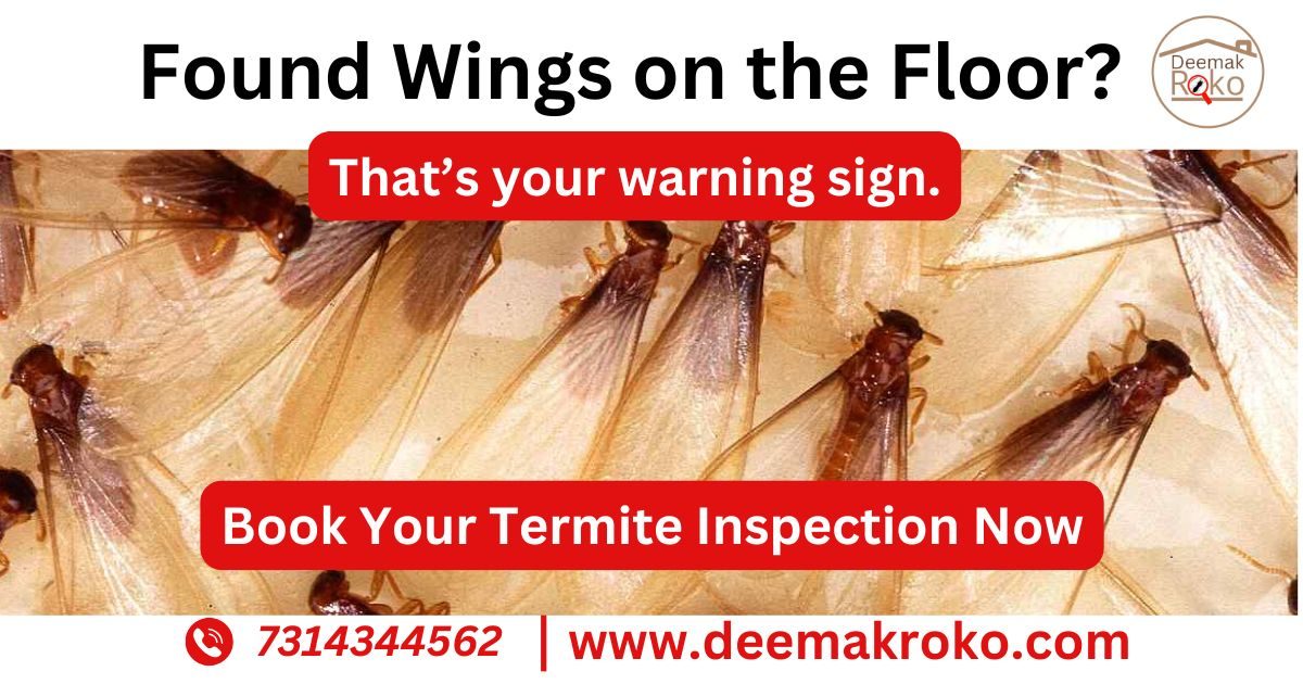 Sign of Termite