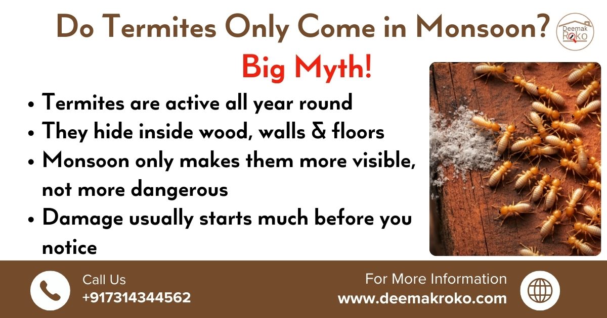 Do termites only come in Monsoon