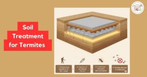 Soil Treatment for termites