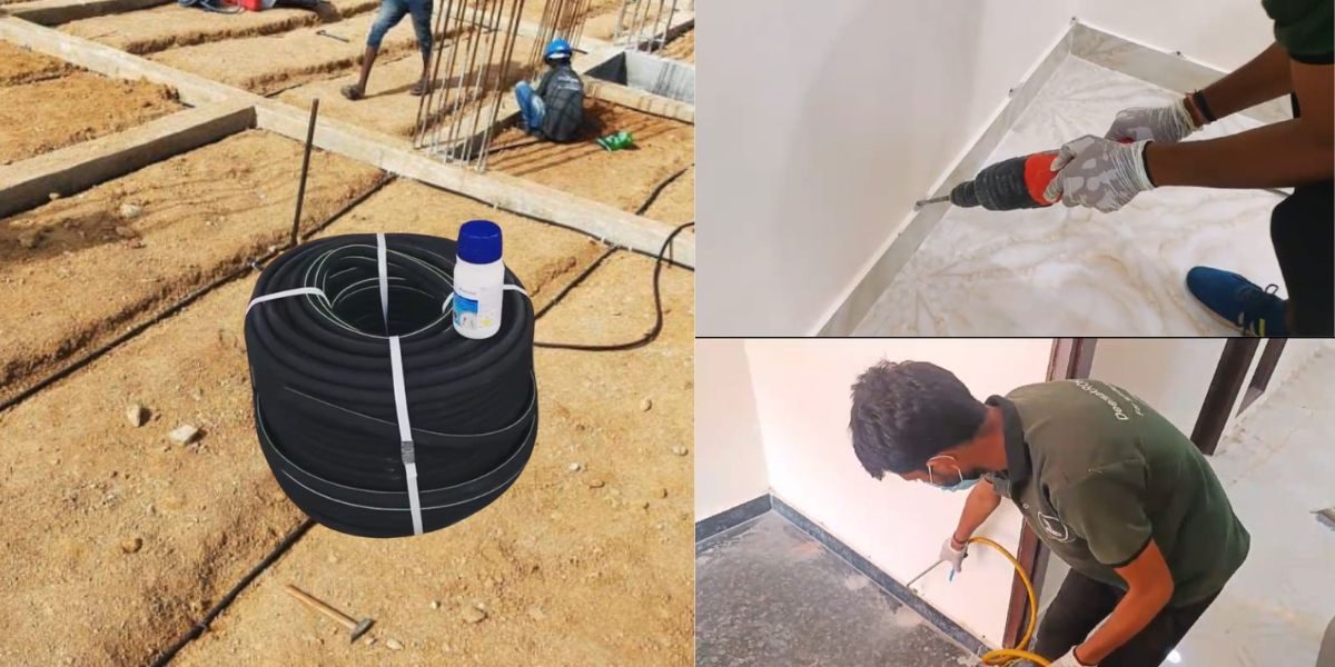 Termite (Deemak) control in India