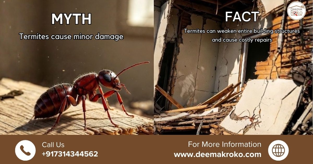 Termite Damage: Myth vs Fact — Can Termites Destroy Your Home?